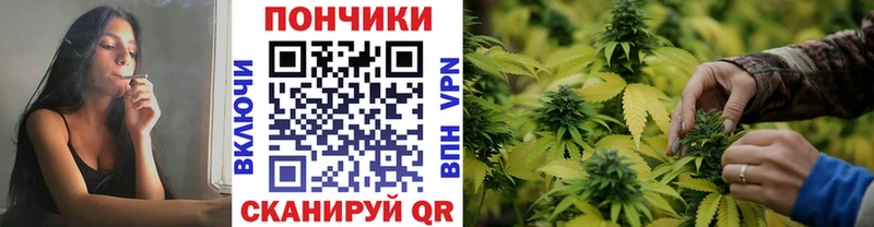 Купить наркоту Славгород Alpha PVP COCAIN мега как войти Каннабис Гашиш