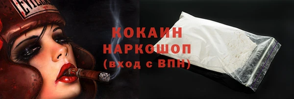мяу мяу мука Аркадак
