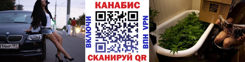 наркотики  Славгород  мега ссылки  Бошки марихуана план 